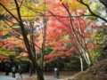 20121124144141