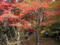 20121124144207