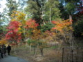 20121124144230