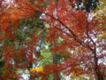20121124144310