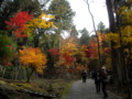 20121124144317