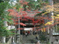 20121124144442