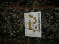 20121215143151