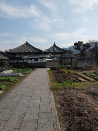 蘇我入鹿首塚から見た飛鳥寺