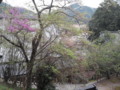 金剛城寺　護摩堂からの景色