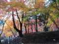 神峯山寺の紅葉