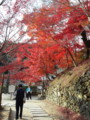 神峯山寺の紅葉