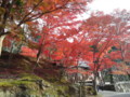 神峯山寺の紅葉