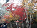 神峯山寺の紅葉
