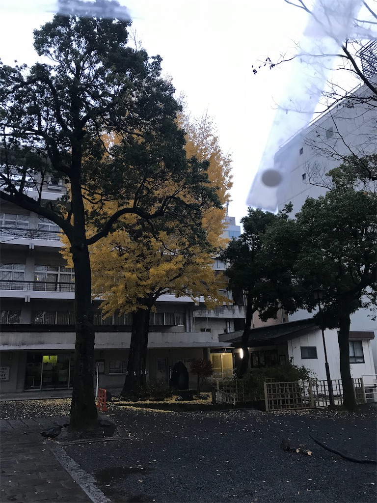 f:id:funanfunan:20191124224738j:image