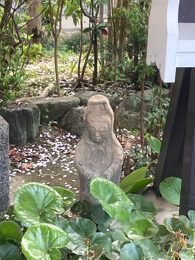f:id:funanfunan:20250411230610j:image