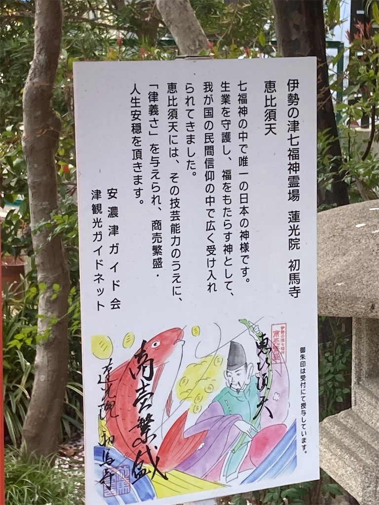f:id:funanfunan:20250411230620j:image