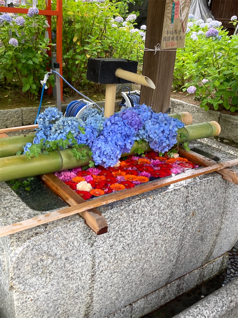 f:id:funanfunan:20260707000152j:image