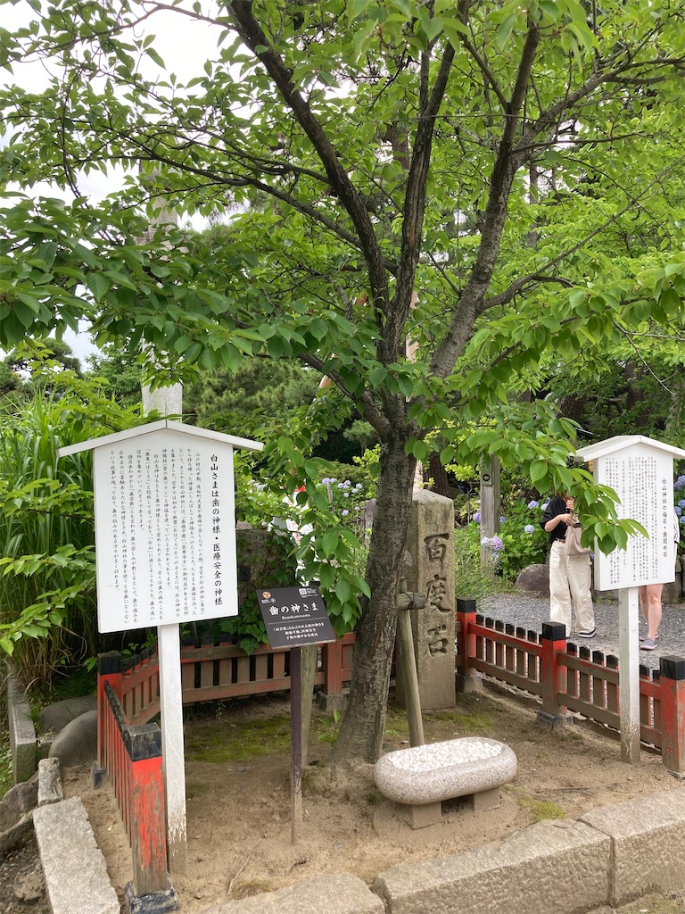 f:id:funanfunan:20260707000214j:image