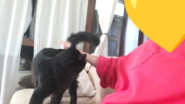 f:id:funanorinoyome:20211107103722j:image