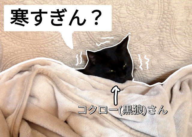 f:id:funanorinoyome:20211114085708j:image