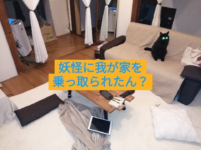 f:id:funanorinoyome:20211114085802j:image
