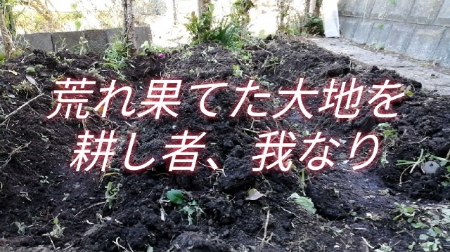 f:id:funanorinoyome:20211114142729j:image