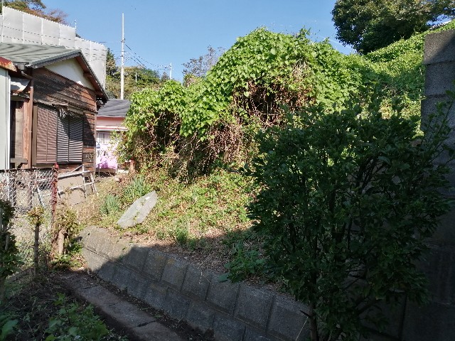 f:id:funanorinoyome:20211114143031j:image
