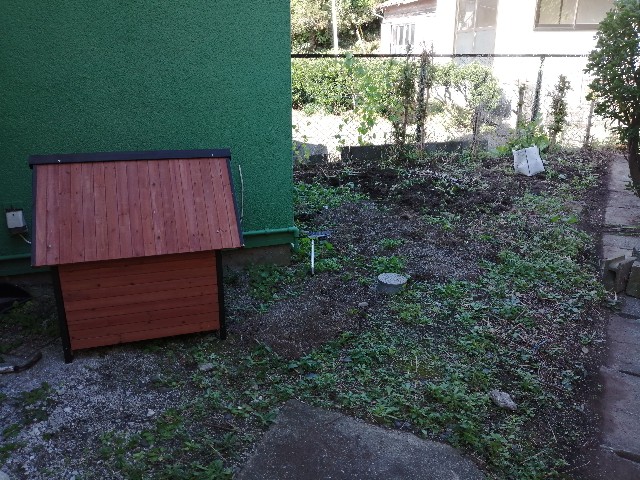 f:id:funanorinoyome:20211114143810j:image