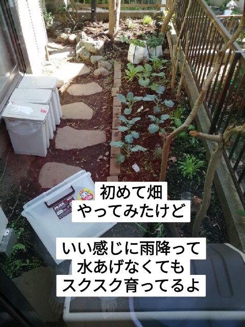 f:id:funanorinoyome:20211118170111j:image