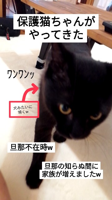 f:id:funanorinoyome:20211118170623j:image f:id:funanorinoyome:20211118170623j:image