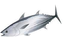 f:id:funaoka77:20100718111830g:image f:id:funaoka77:20100718111830g:image