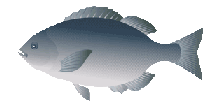 f:id:funaoka77:20100718113921g:image f:id:funaoka77:20100718113921g:image