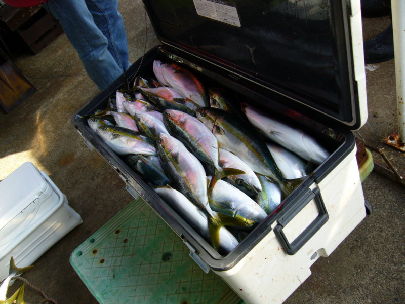 f:id:funaoka77:20110219151814j:image f:id:funaoka77:20110219151814j:image