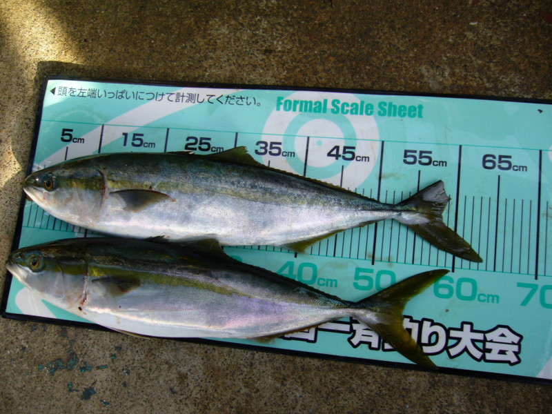 f:id:funaoka77:20110219154547j:image f:id:funaoka77:20110219154547j:image
