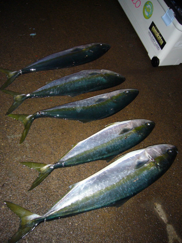 f:id:funaoka77:20110521191933j:image