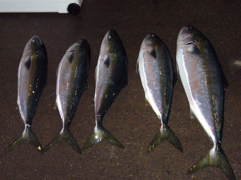 f:id:funaoka77:20110521192038j:image