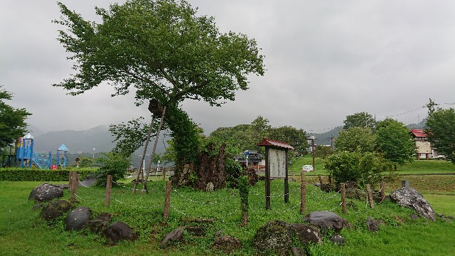 f:id:funaosarasa:20190816091843j:image