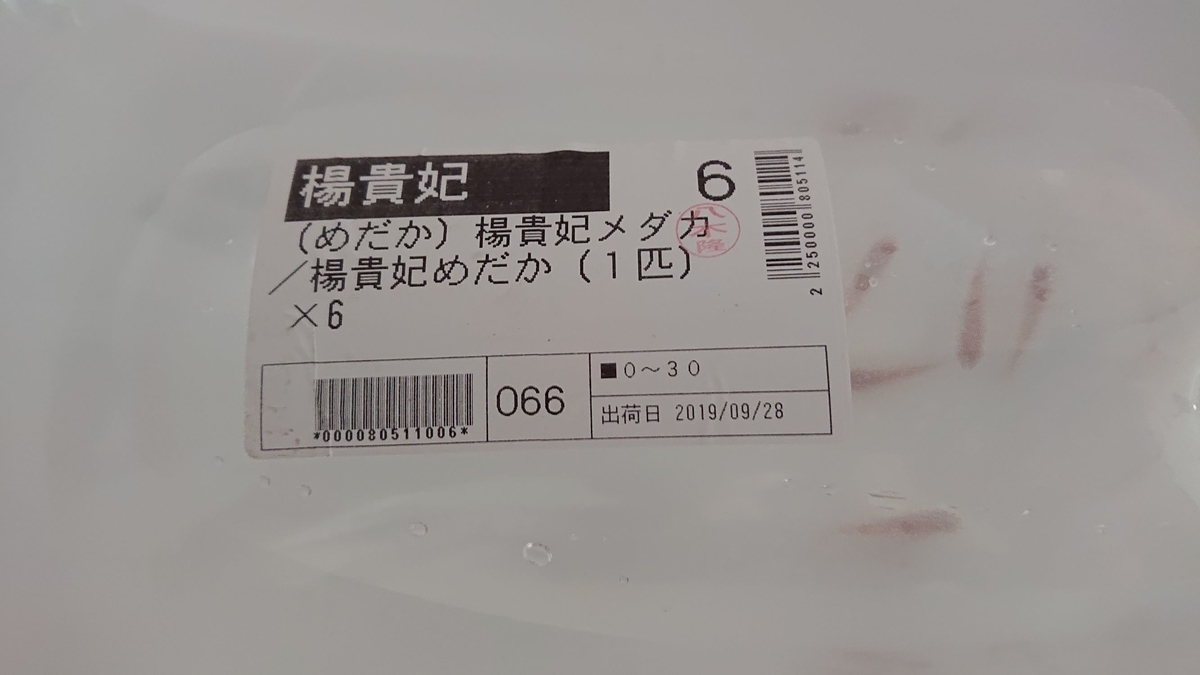 f:id:funaosarasa:20190930135102j:plain f:id:funaosarasa:20190930135102j:plain