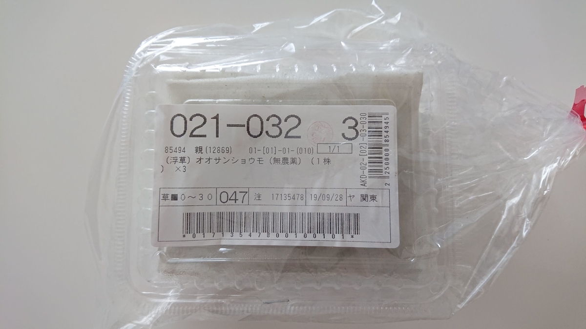 f:id:funaosarasa:20191003152917j:plain f:id:funaosarasa:20191003152917j:plain