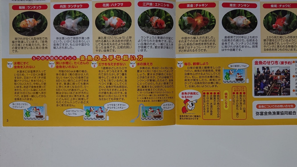 f:id:funaosarasa:20191029154525j:plain