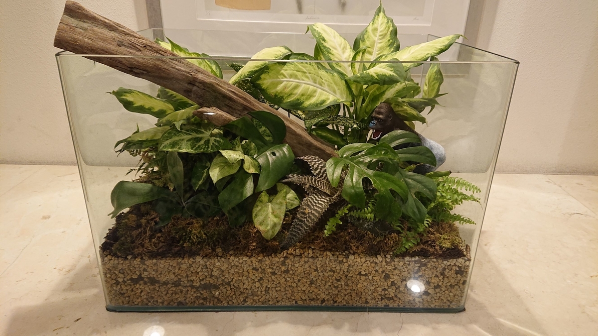 f:id:funaosarasa:20191106135426j:plain