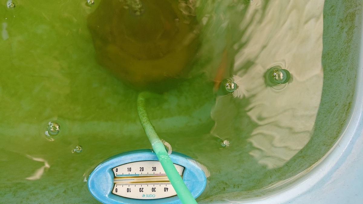 f:id:funaosarasa:20191113091551j:plain f:id:funaosarasa:20191113091551j:plain