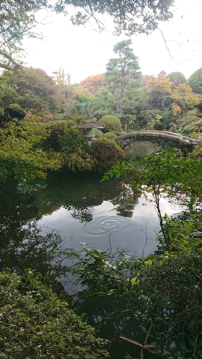 f:id:funaosarasa:20191116175617j:plain