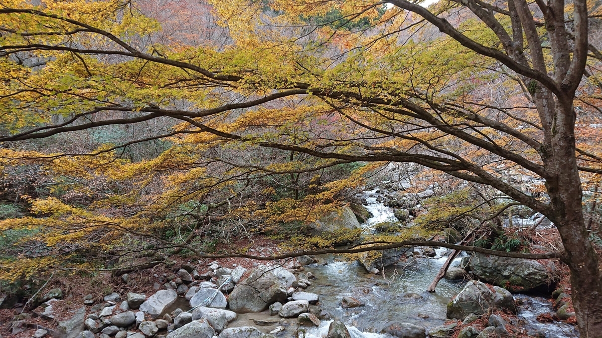 f:id:funaosarasa:20191202112942j:plain
