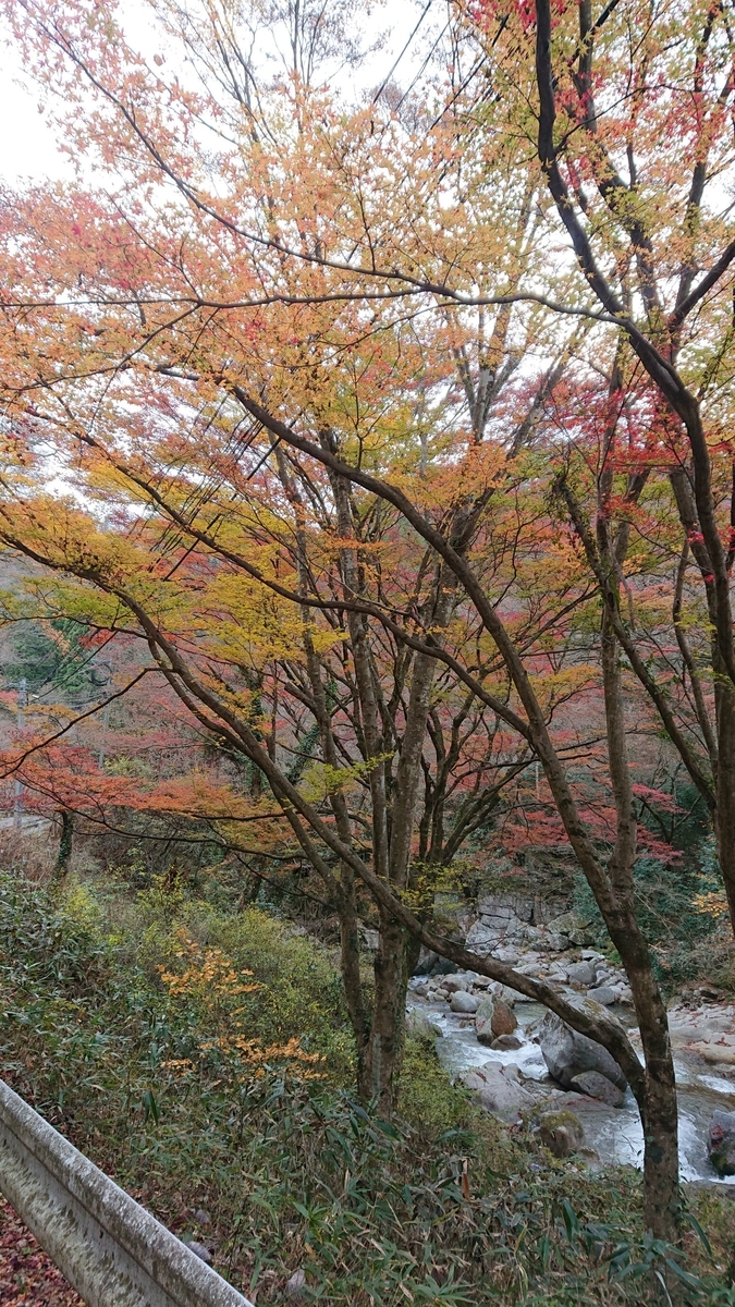 f:id:funaosarasa:20191202113003j:plain
