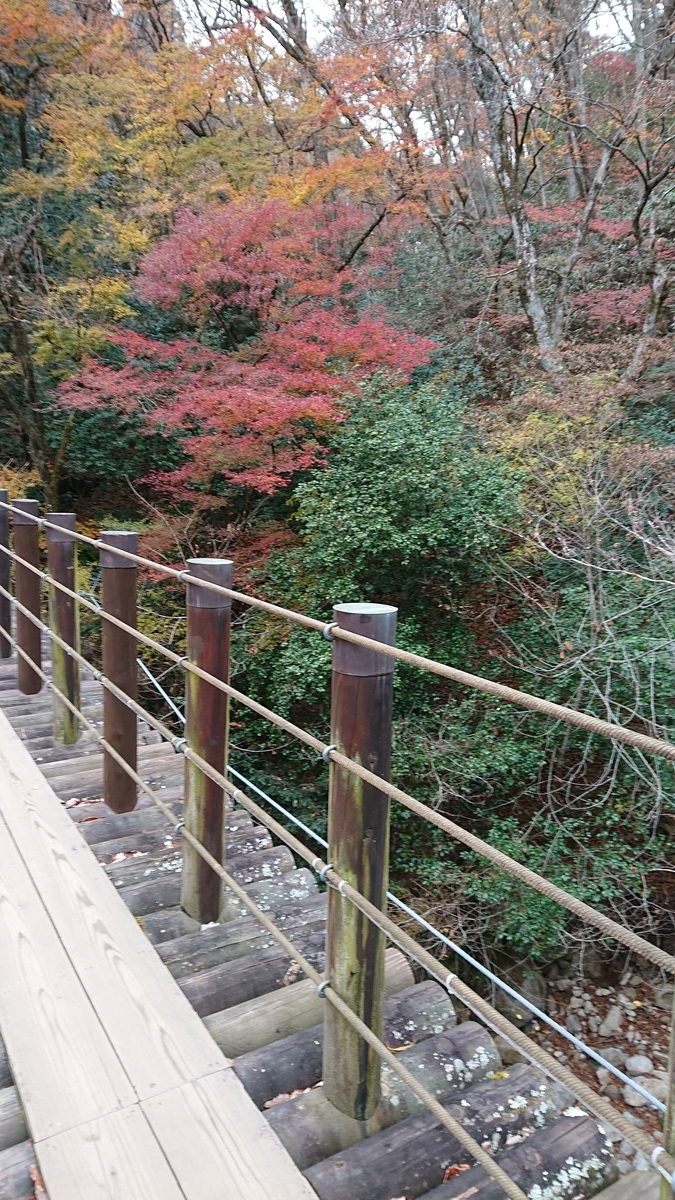 f:id:funaosarasa:20191202113020j:plain