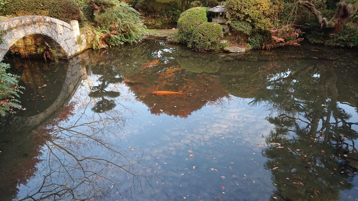 f:id:funaosarasa:20191202113301j:plain