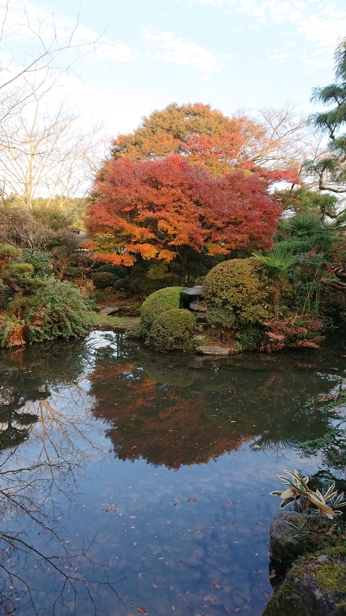 f:id:funaosarasa:20191202113319j:plain