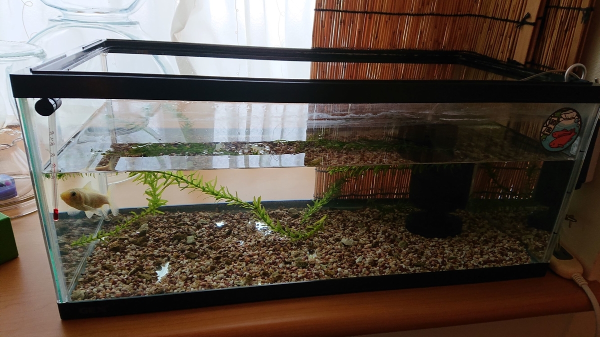 f:id:funaosarasa:20191211150708j:plain