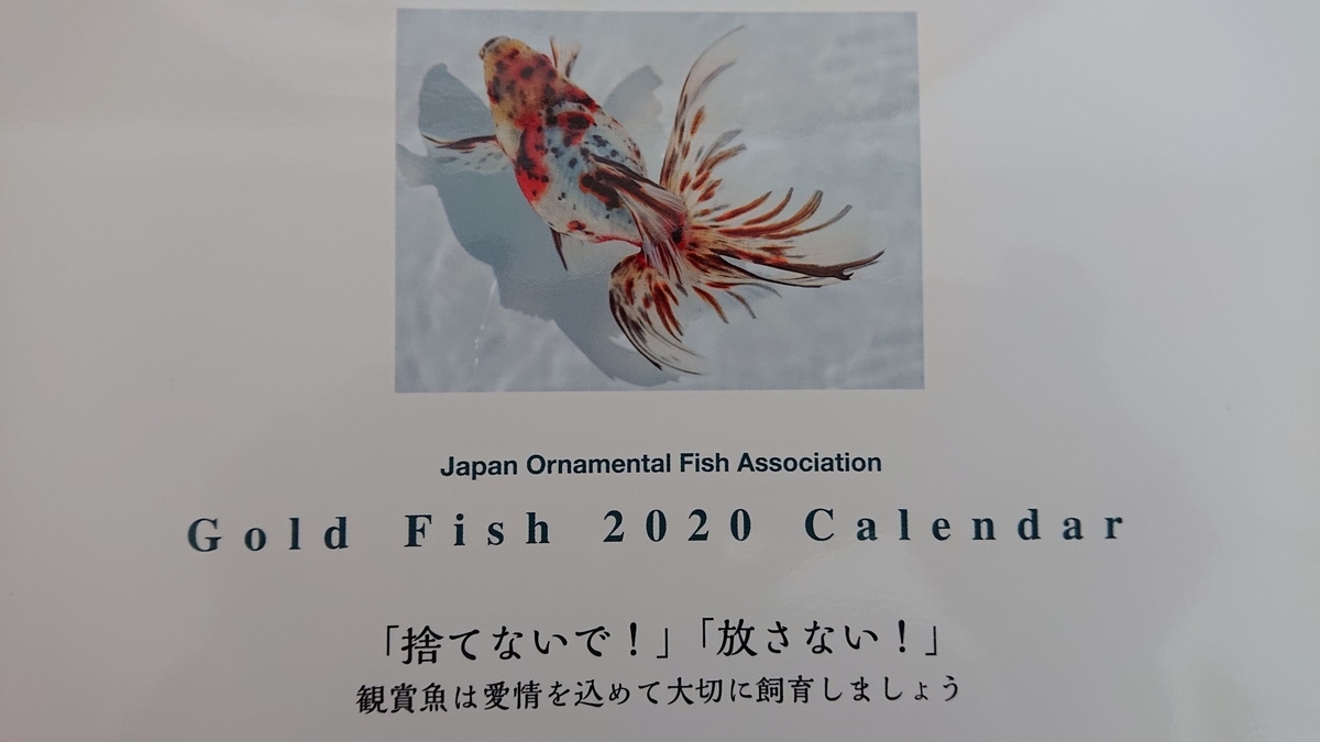 f:id:funaosarasa:20191211222633j:plain