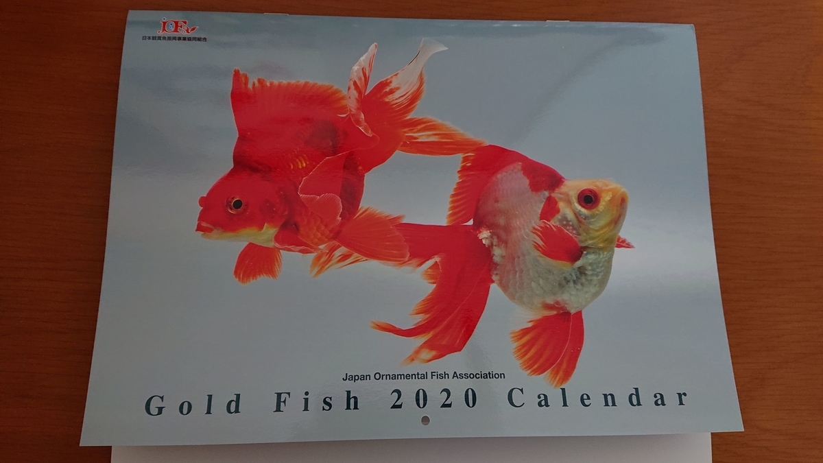 f:id:funaosarasa:20191211222652j:plain