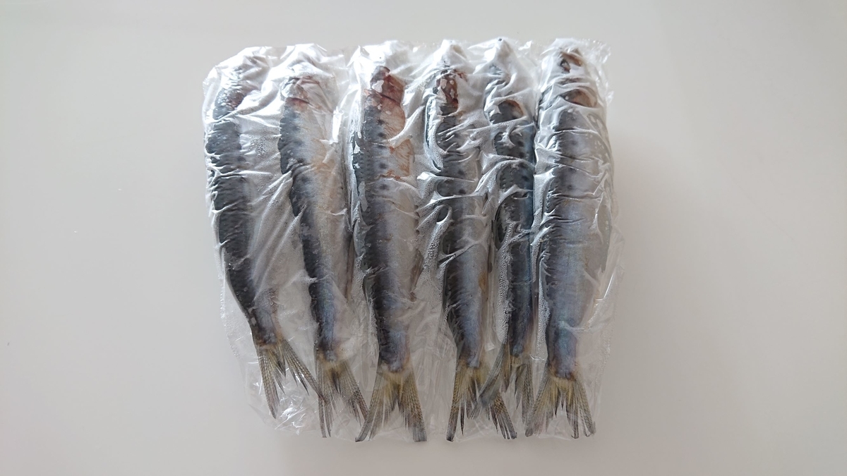 f:id:funaosarasa:20200203140925j:plain f:id:funaosarasa:20200203140925j:plain