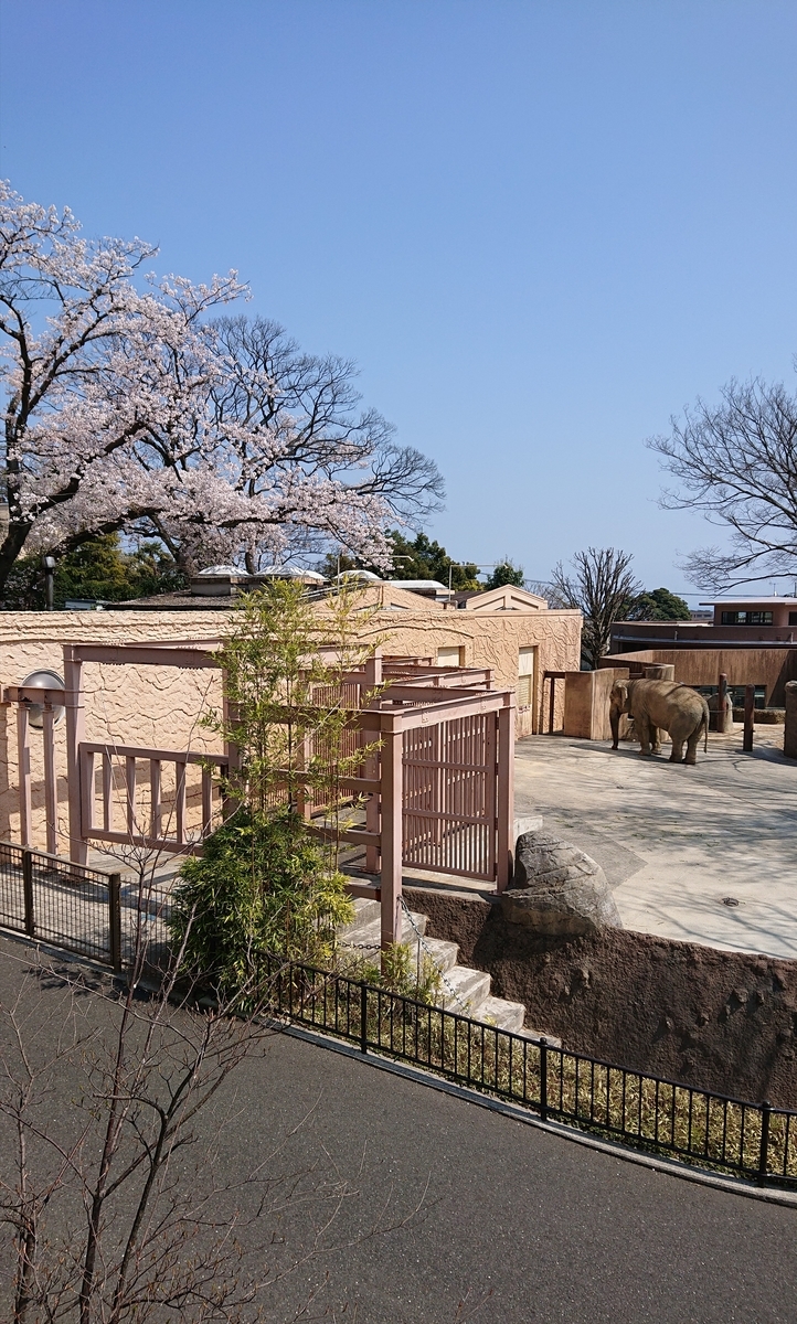 f:id:funaosarasa:20200404165541j:plain