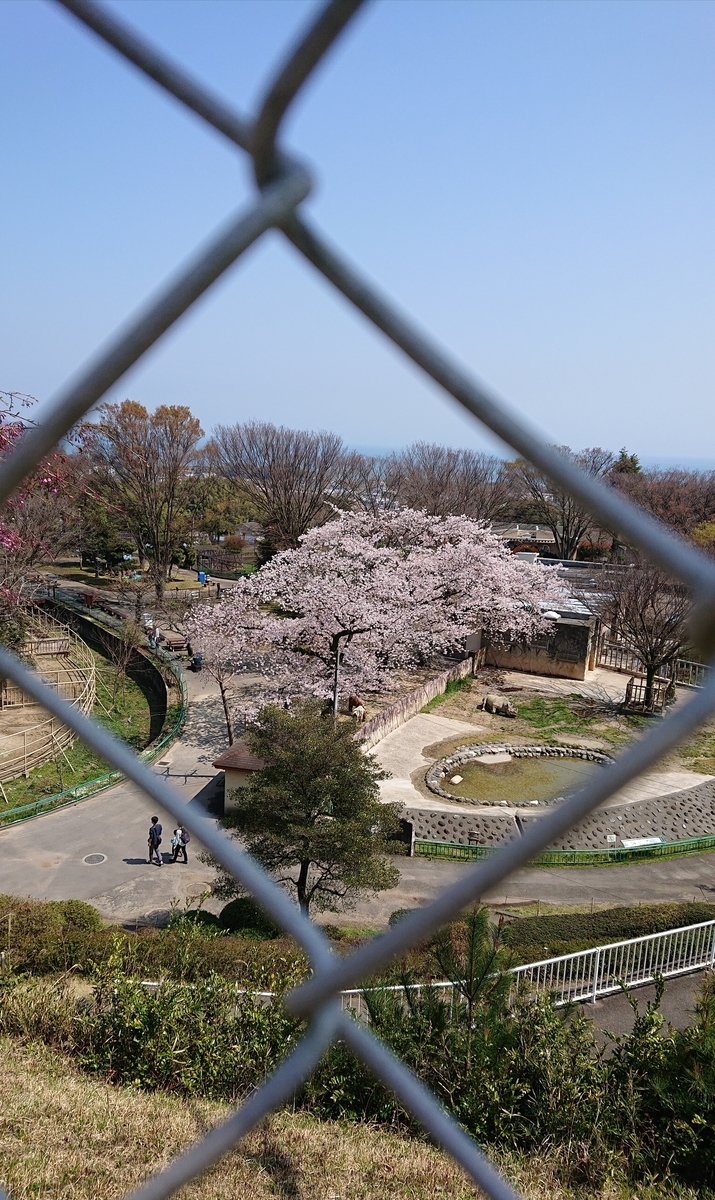 f:id:funaosarasa:20200404165932j:plain